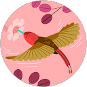 MOzifer profile picture